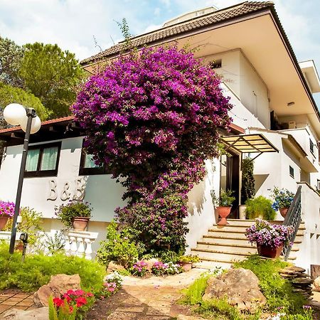 Bed & Breakfast Santa Fara Bari Dış mekan fotoğraf