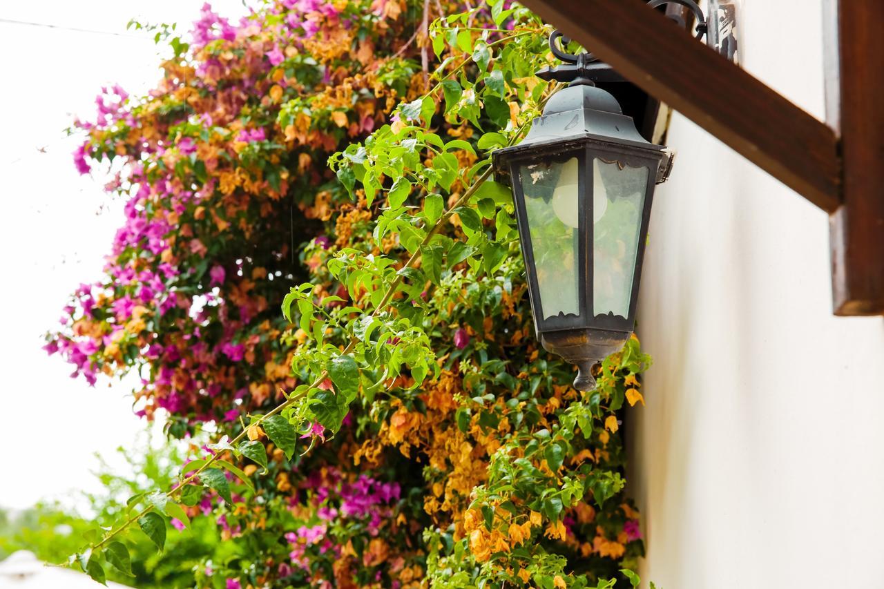 Bed & Breakfast Santa Fara Bari Dış mekan fotoğraf