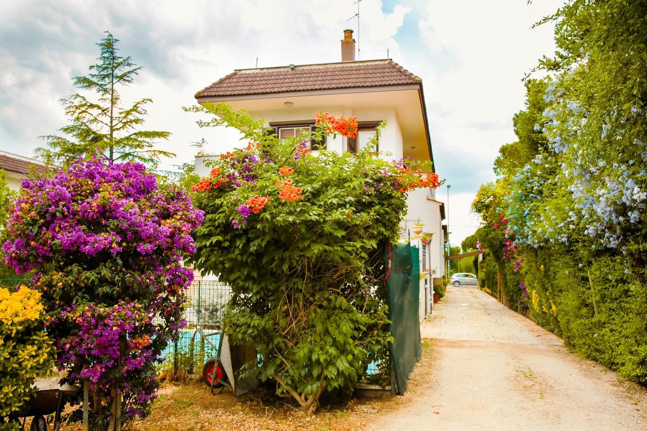 Bed & Breakfast Santa Fara Bari Dış mekan fotoğraf